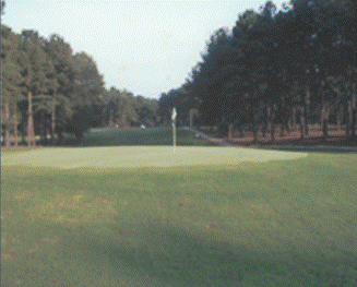 Golf Course Photo, Bay Pointe Resort & Golf Club, Brandon, 39047 