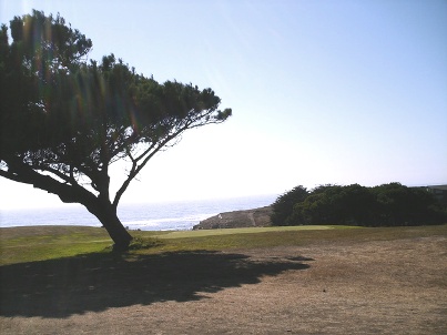 Golf Course Photo, Sea Ranch Golf Links, Sea Ranch, 95497 