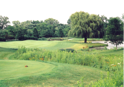 Arboretum Golf Club, Buffalo Grove, Illinois, 60089 - Golf Course Photo