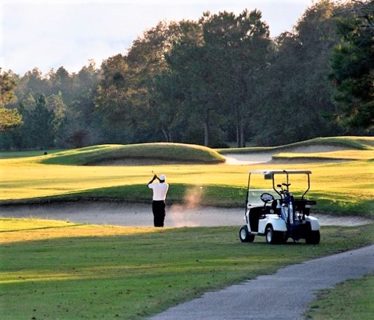 Golf Course Photo, Applewood Golf Course, Keysville, 30816 