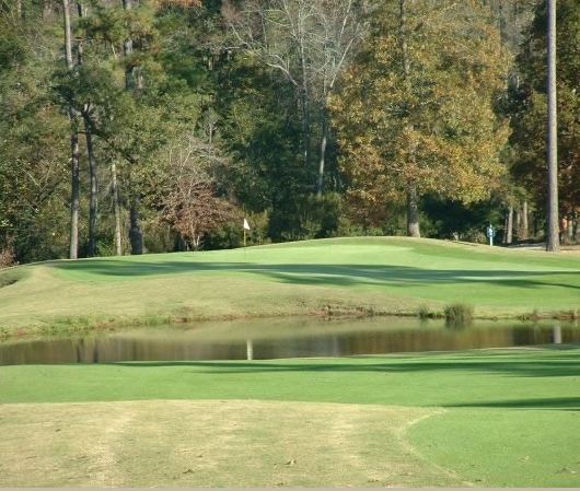 Bayonet At Puppy Creek, The