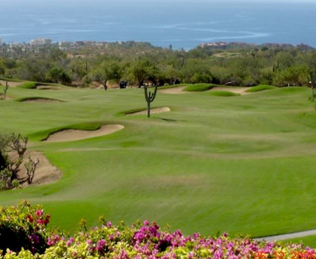 Cabo Real Golf Club