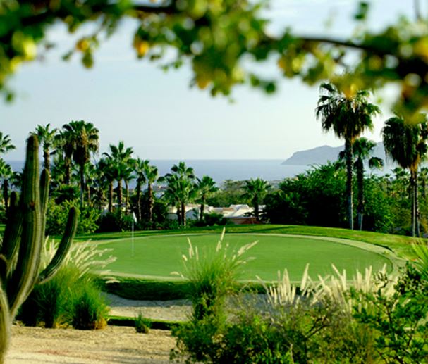 Cabo Real Golf Club