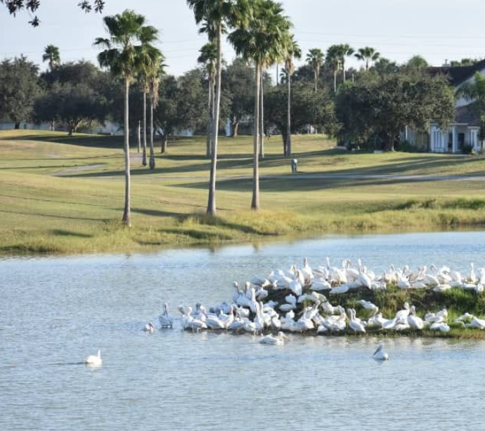 Cimarron Country Club, CLOSED 2022, Mission, Texas, 78572 - Golf Course Photo