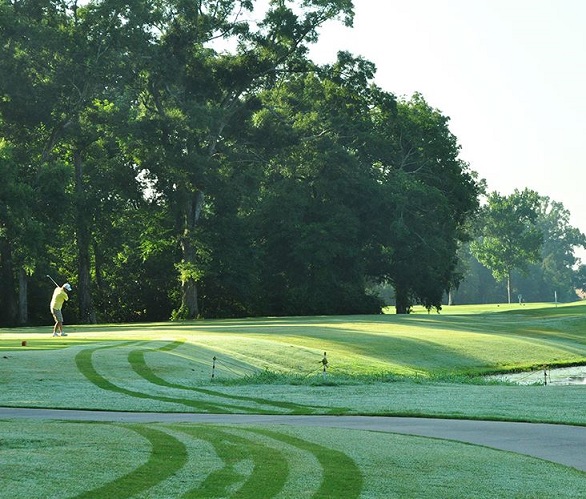 Golf Course Photo, Clark Park Golf Course, Baton Rouge, Louisiana, 70807