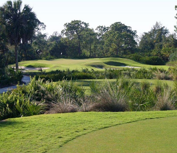 Colliers Reserve Country Club