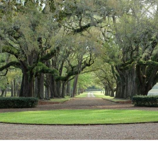 Congaree Golf Club | Congaree Golf Course