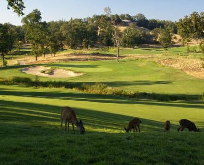 DarkHorse Golf Club