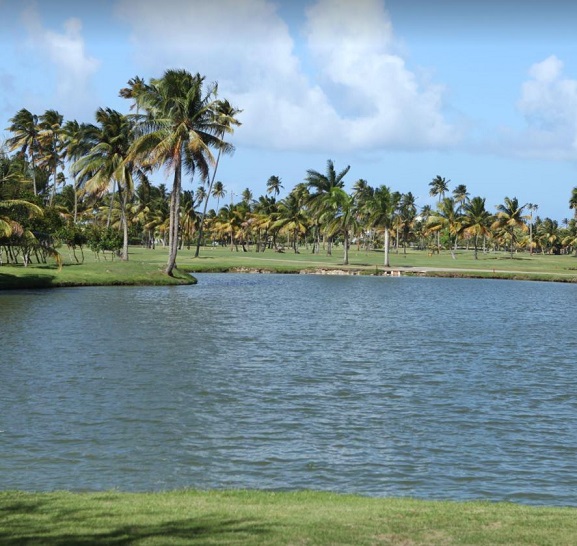 Dorado Del Mar Golf Club