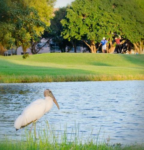 Flamingo Lakes Golf & Country Club | Flamingo Lakes Golf Course