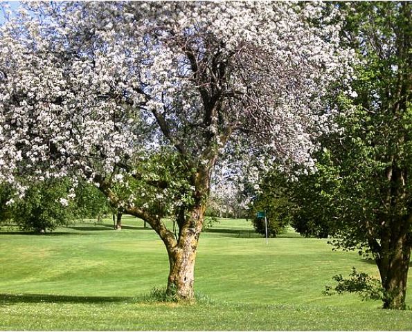 Golf Course Photo, Gracewil Country Club, East Course, Grand Rapids, 49544 