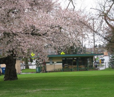 Green Lake Pitch n Putt, Green Lake Golf Course, Seattle, Washington, 98103 - Golf Course Photo