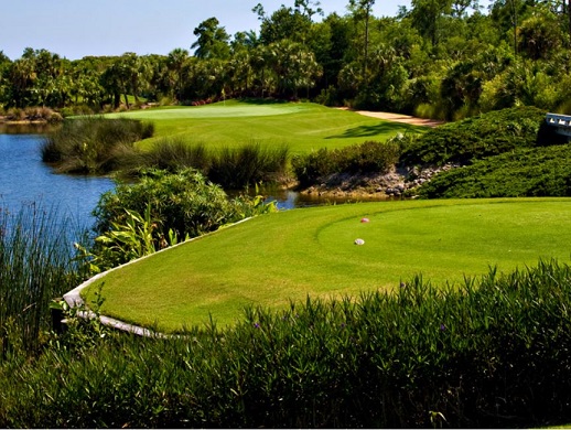 Grey Oaks Golf & Country Club, Estuary Golf Course, Naples, Florida,  - Golf Course Photo