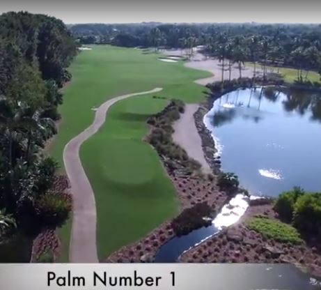 Golf Course Photo, Grey Oaks Golf & Country Club, Palm Golf Course, Naples, 34105 