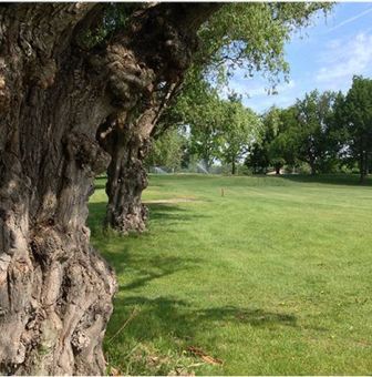 Harbour Club Golf Course, Belleville, Michigan, 48111 - Golf Course Photo