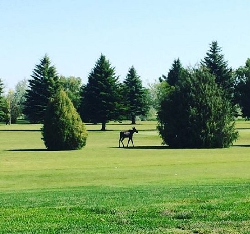 Hazard Creek Golf Course