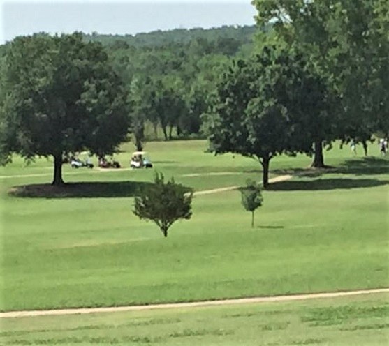 Henryetta Golf & Country Club