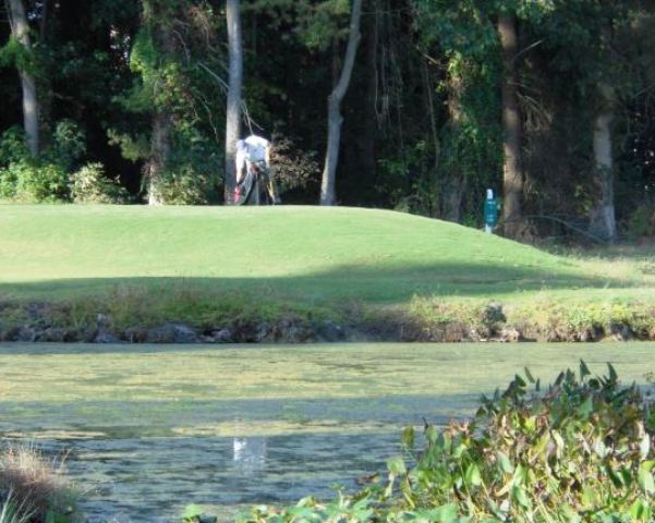 Knobbs Creek Par - 3 Golf Course, Elizabeth City, North Carolina, 27909 - Golf Course Photo