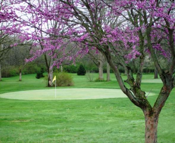 Logans Run Family Golf Club,Logansport, Indiana,  - Golf Course Photo