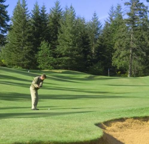 Mccormick Woods Golf Course,Port Orchard, Washington,  - Golf Course Photo