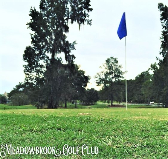 Meadowbrook Golf Club, Closed 2021