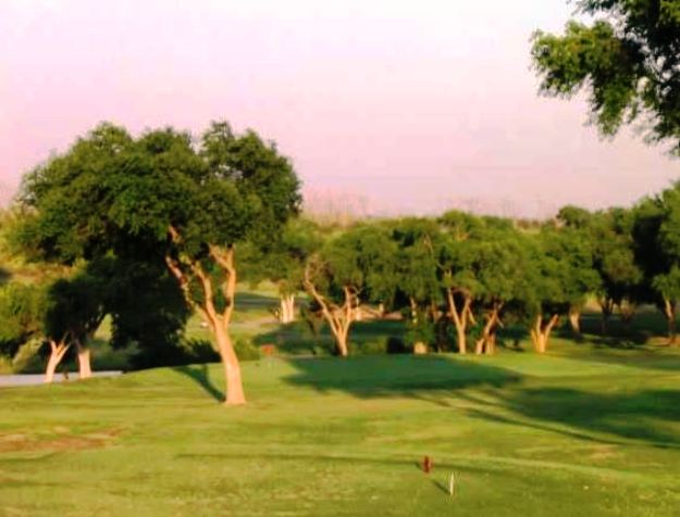 Golf Course Photo, Meadowbrook Golf Complex, Creek Course, Lubbock, Texas, 79403