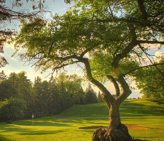 Golf Course Photo, Meadia Heights Golf Club, Lancaster, 17602 