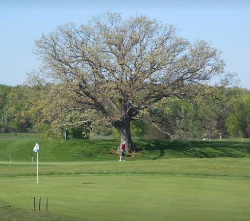 Metamora Golf & Country Club