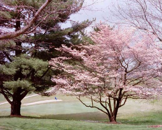 Metropolis Country Club, Metropolis, Illinois,  - Golf Course Photo