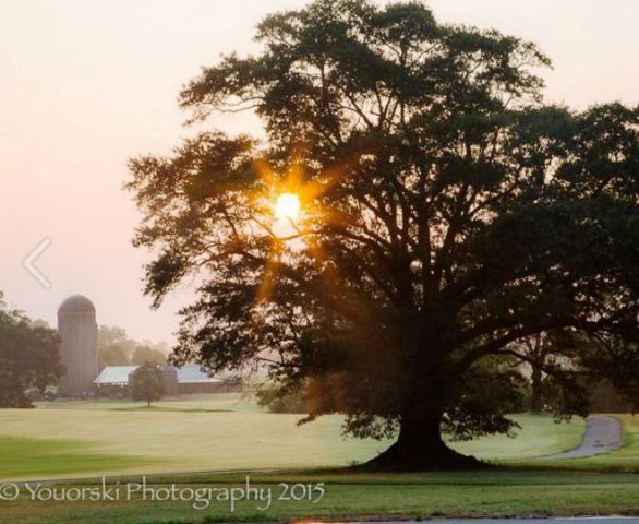 Morgan Dairy Golf Club | Morgan Dairy Golf Course