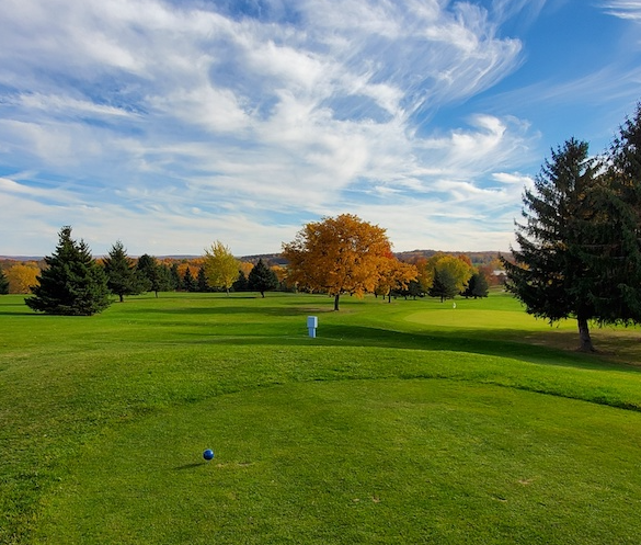 Golf Course Photo, Old Hickory Golf Club, Livonia, 14487 