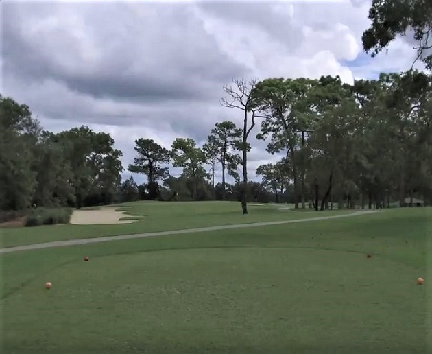 On Top Of The World, Links Golf Course, Ocala, Florida,  - Golf Course Photo