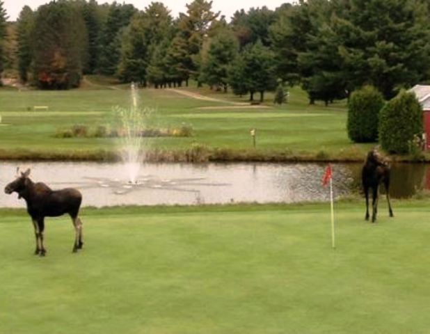 Orleans Country Club, Orleans, Vermont, 05860 - Golf Course Photo