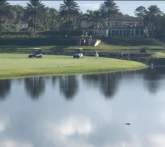 The Palencia Club, Saint Augustine, Florida,  - Golf Course Photo