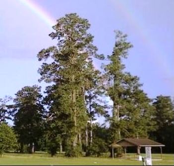 Golf Course Photo, Pine Shadows Golf Center, CLOSED 2014, Lake Charles, 70615 