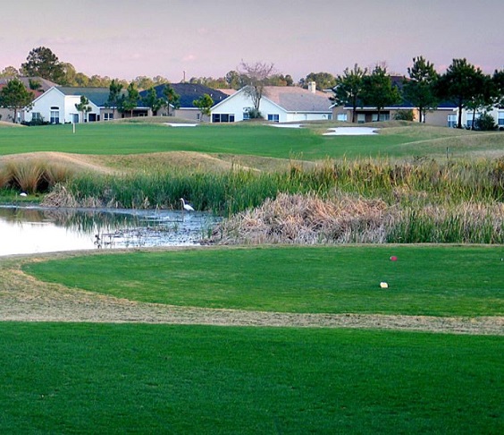 Plantation Palms Golf Course.