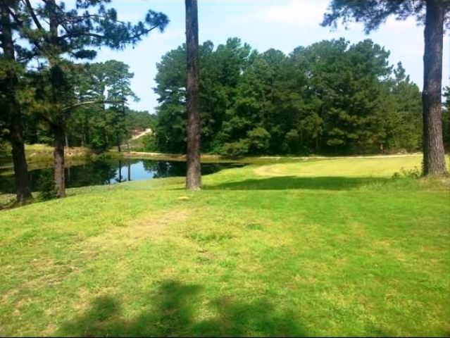 Ponderosa Golf Club, CLOSED 2015, Olivia, North Carolina, 28368 - Golf Course Photo