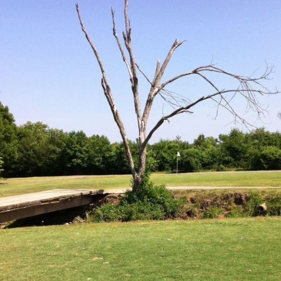 Razorback Park Golf Course, CLOSED 2015