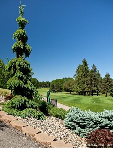 Redwood Falls Golf Club