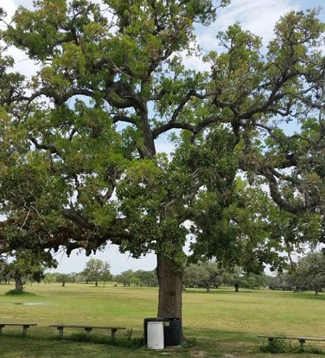 Refugio County Country Club