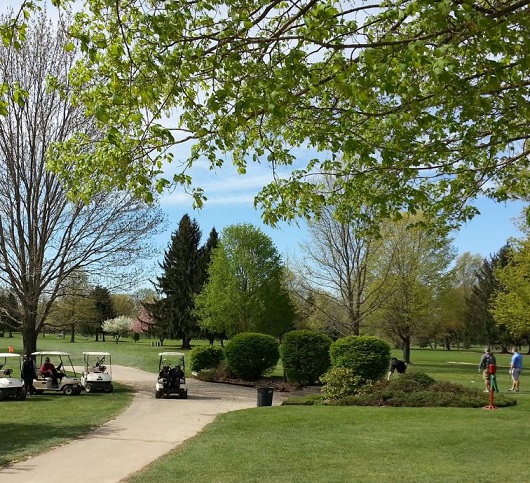 Golf Course Photo, Riverview Golf Course, Newton Falls, Ohio, 44444