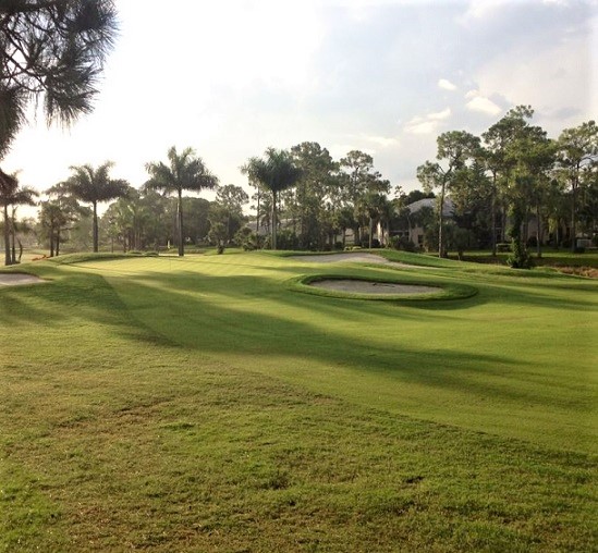 Golf Course Photo, Royal Palm Golf Club, Naples, 34113 