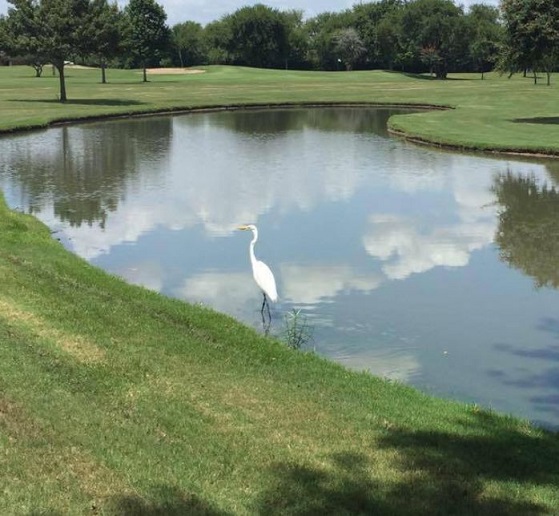 San Jacinto College Golf Course, CLOSED 2016