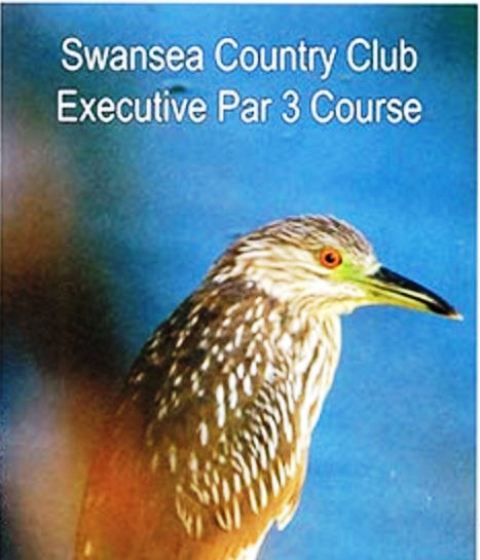 SwanseeExecutivePar3SwanseeMA_1481581241.jpg