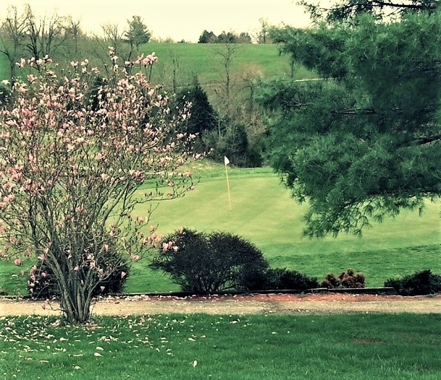 Golf Course Photo, Tanglewood Golf Course, Taylorsville, Kentucky, 40071