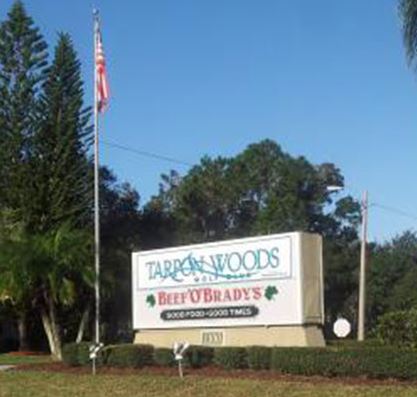 Golf Course Photo, Tarpon Woods Golf Club, Palm Harbor, 34685 