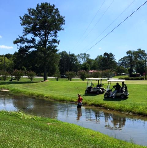 The Rock Golf Course | Talladega Municipal