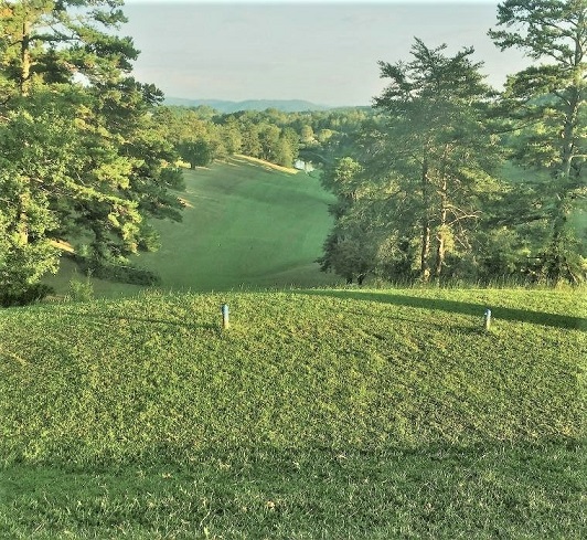 The Golf Course