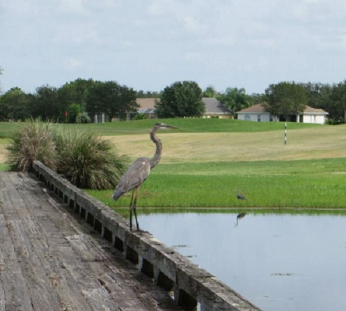 The Links At Greenfield Plantation | Greenfield Plantation Golf Course