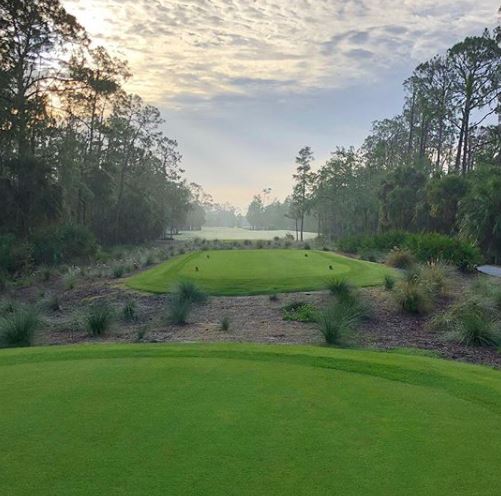 Tiburon Golf Club, Black Course